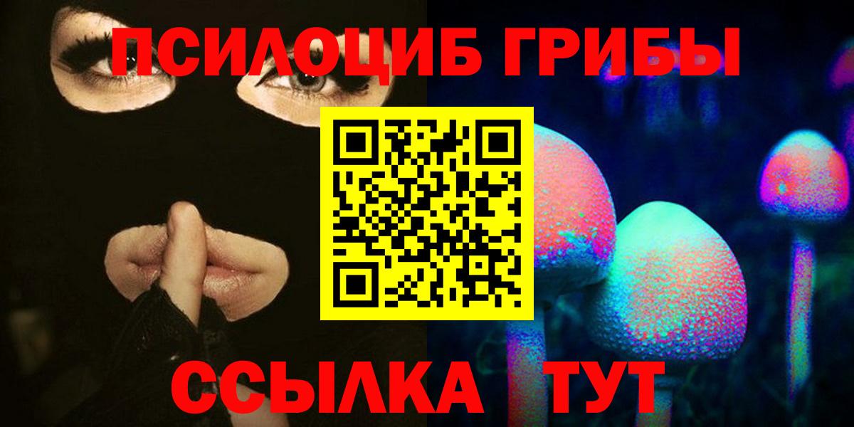Кохма  Галлюциногенные грибы Psilocybine cubensis  Вход с VPN 