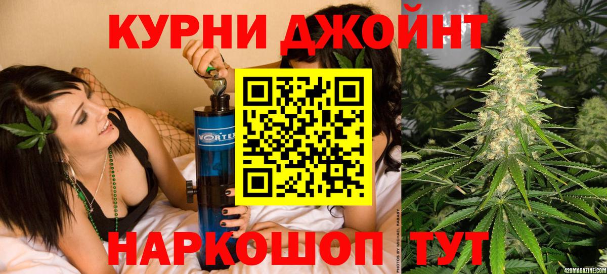 Каннабис MAZAR  Каннабис план  Канабис индика  Кохма  Вход с VPN  Бошки марихуана тримм 
